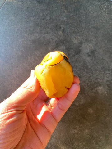 Natural Baltic amber