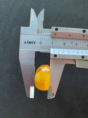 Baltic Amber Cabochon