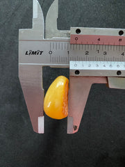 Baltic Amber Cabochon