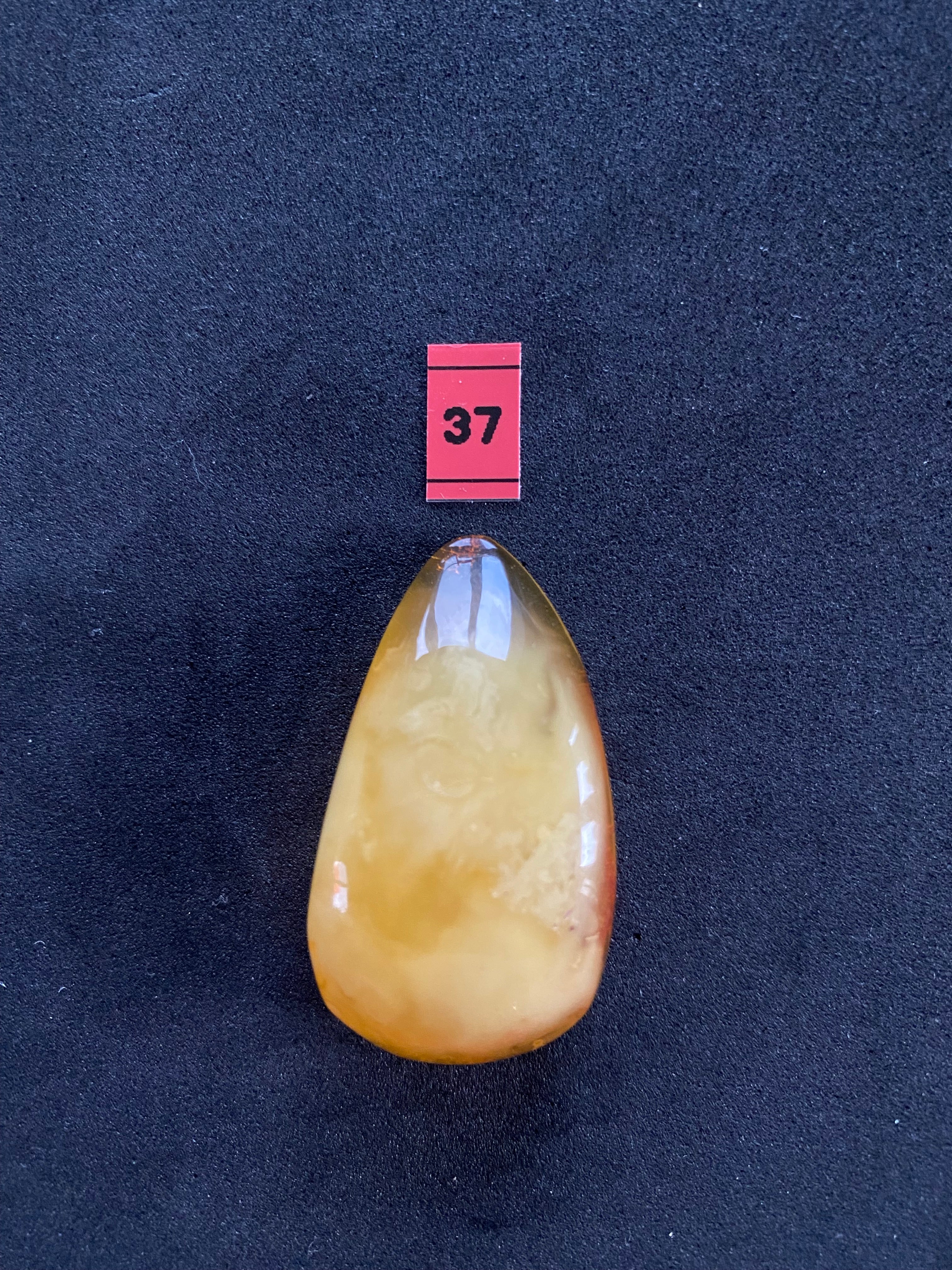 Baltic Amber Cabochon