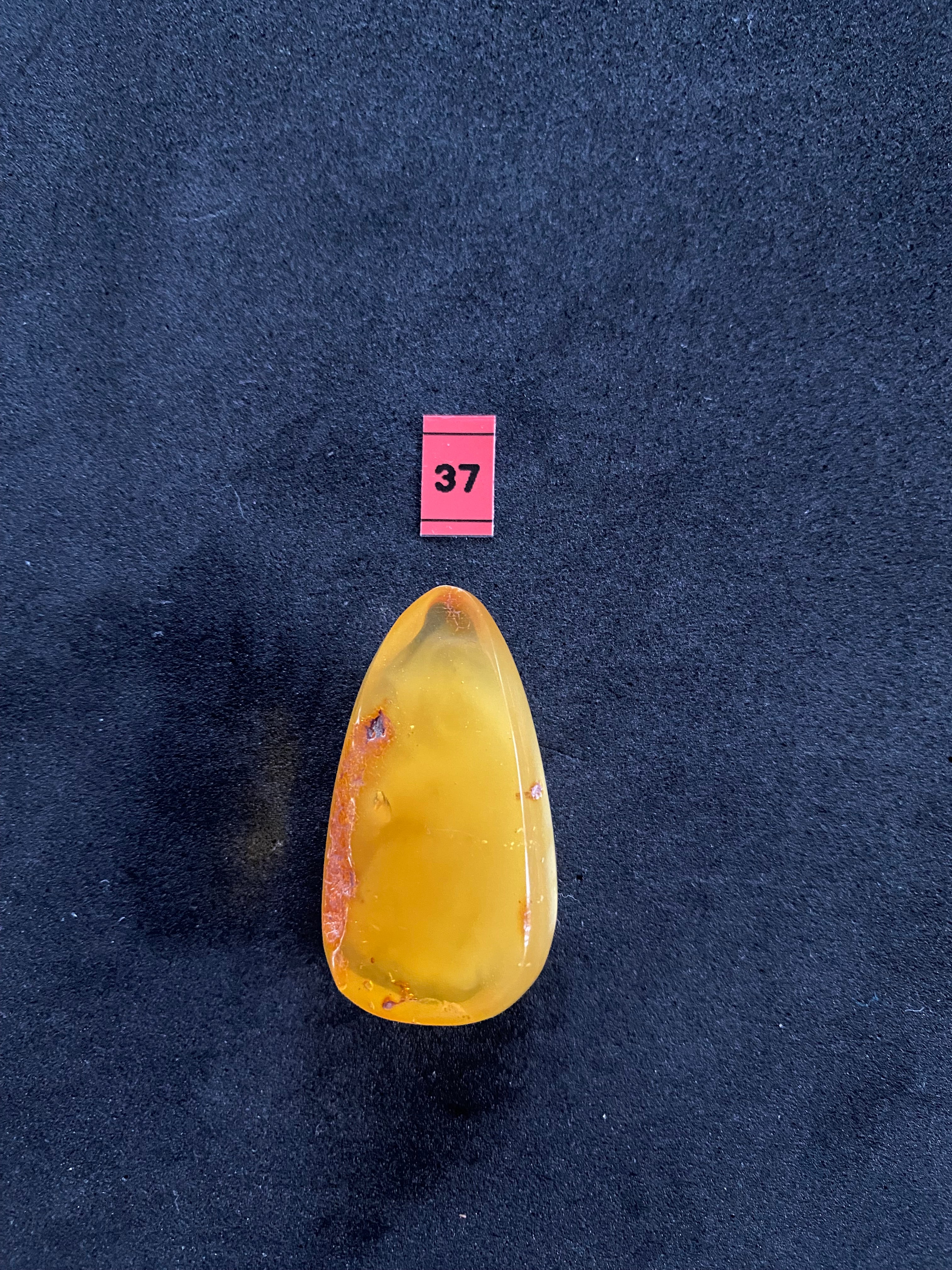 Baltic Amber Cabochon