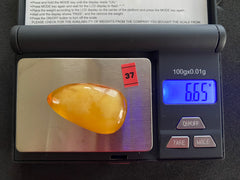 Baltic Amber Cabochon