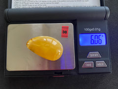 Baltic Amber Cabochon