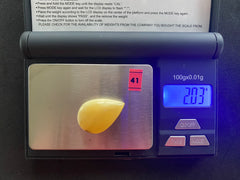 Baltic Amber Cabochon