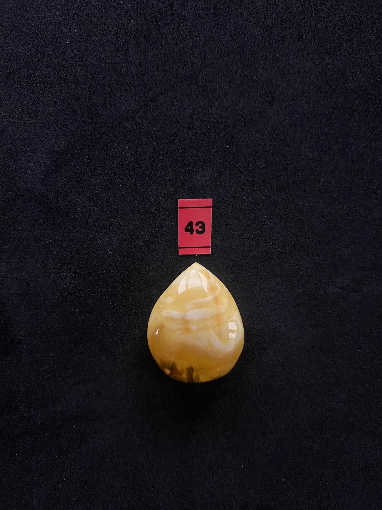 Baltic Amber Cabochon