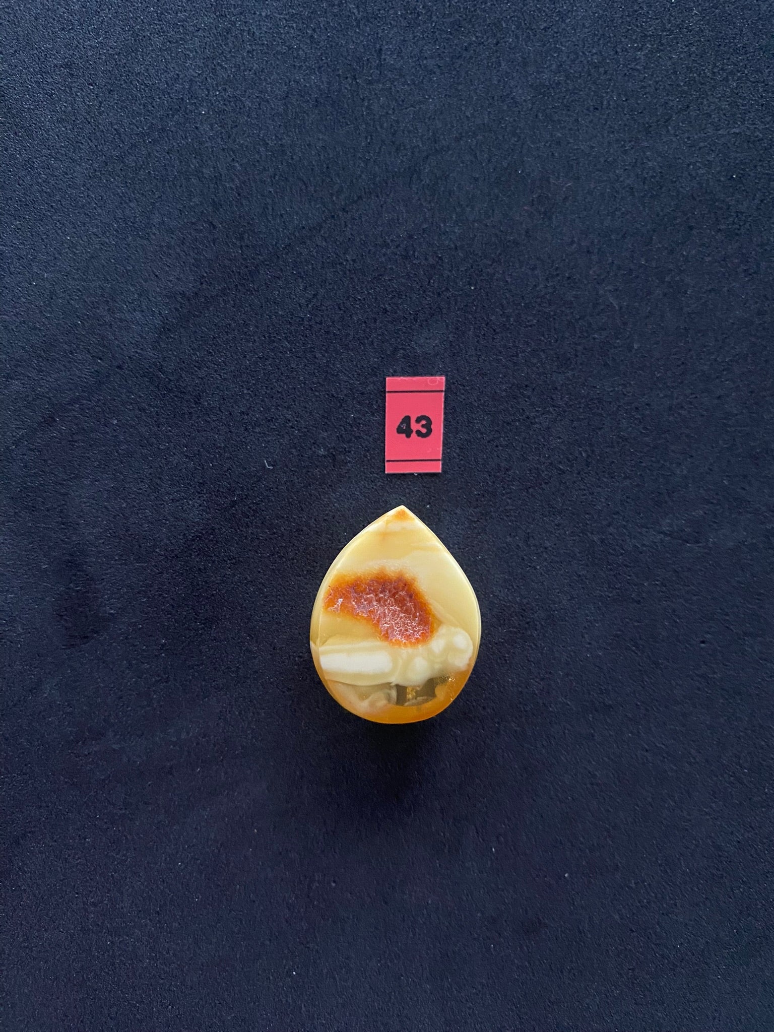 Baltic Amber Cabochon