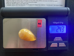 Baltic Amber Cabochon