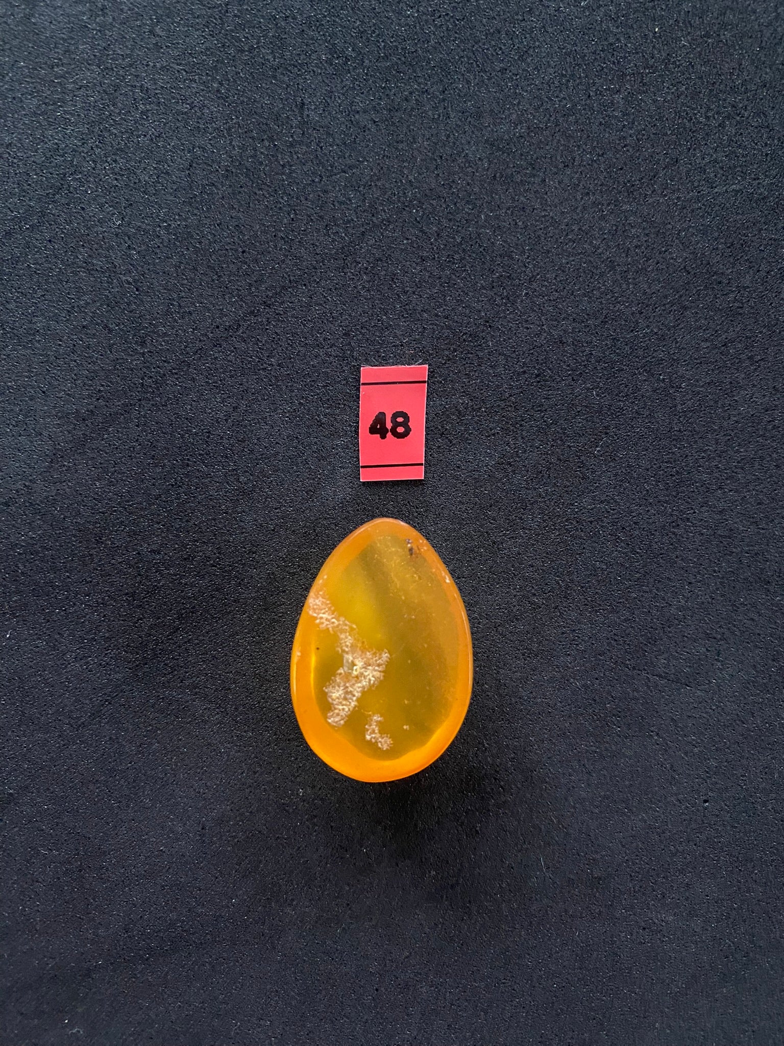 Baltic Amber Cabochon