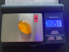 Baltic Amber Cabochon