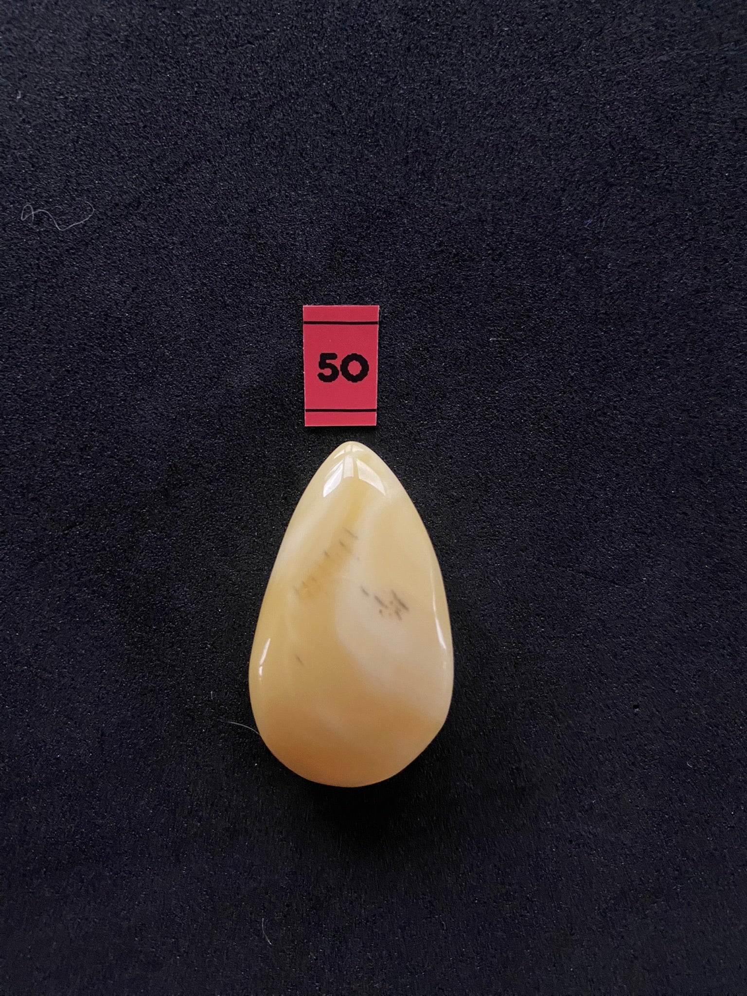 Baltic Amber Cabochon