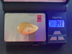 Baltic Amber Cabochon