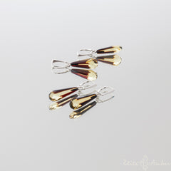 Natural Baltic amber.