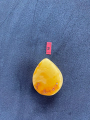 Baltic Amber Pendant